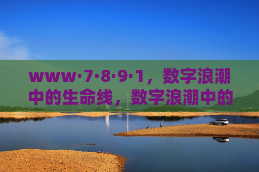 www·7·8·9·1，数字浪潮中的生命线，数字浪潮中的生命线