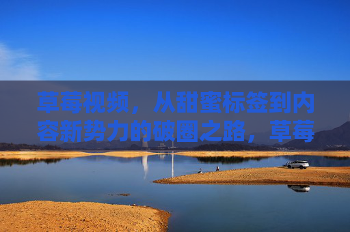 草莓视频,从甜蜜标签到内容新势力的破圈之路,草莓视频,甜蜜标签破圈,内容新势力崛起