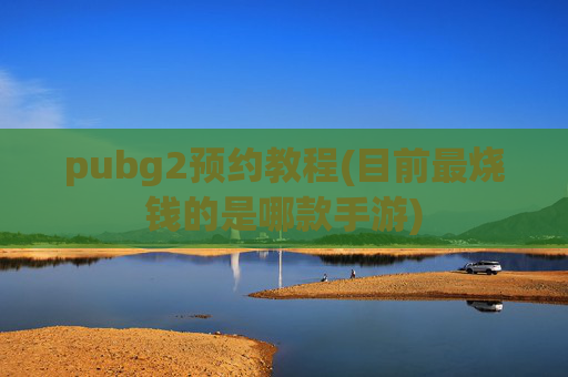 pubg2预约教程(目前最烧钱的是哪款手游)
