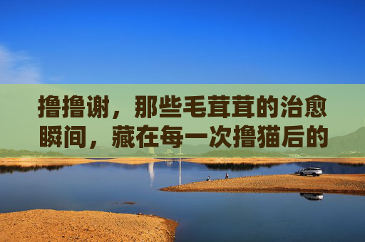 撸撸谢，那些毛茸茸的治愈瞬间，藏在每一次撸猫后的感谢里，撸撸谢，毛茸茸的治愈，藏在感谢里