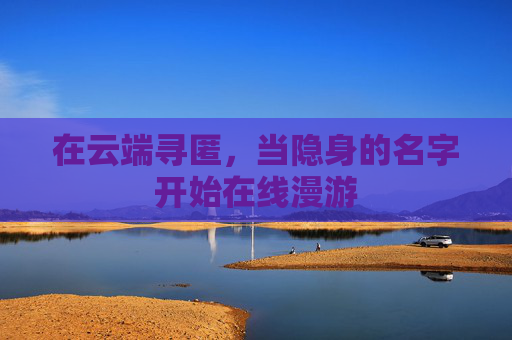 在云端寻匿，当隐身的名字开始在线漫游