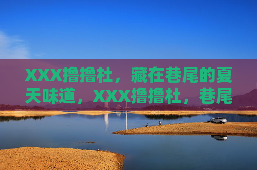 XXX撸撸杜,藏在巷尾的夏天味道,XXX撸撸杜,巷尾的夏天味道