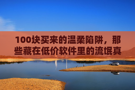 100块买来的温柔陷阱,那些藏在低价软件里的流氓真相,100元温柔陷阱,低价软件里的流氓真相
