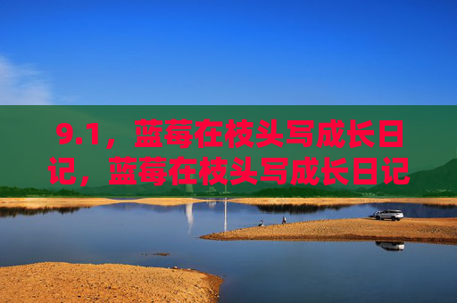 9.1,蓝莓在枝头写成长日记,蓝莓在枝头写成长日记