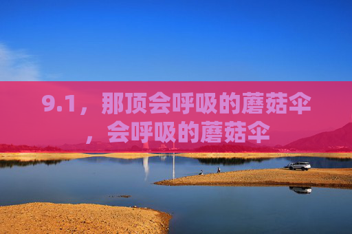 9.1，那顶会呼吸的蘑菇伞，会呼吸的蘑菇伞