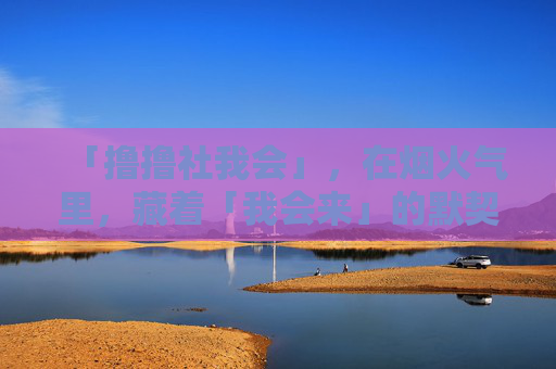 「撸撸社我会」,在烟火气里,藏着「我会来」的默契,烟火气里,「撸撸社」藏着「我会来」的默契