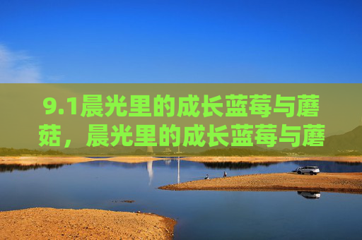 9.1晨光里的成长蓝莓与蘑菇,晨光里的成长蓝莓与蘑菇