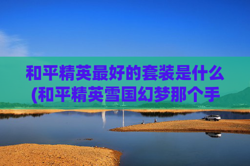 和平精英最好的套装是什么(和平精英雪国幻梦那个手感好)