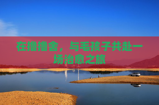 在撸撸舍,与毛孩子共赴一场治愈之旅