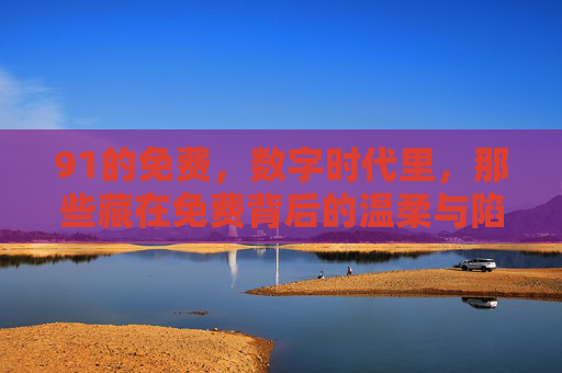 91的免费，数字时代里，那些藏在免费背后的温柔与陷阱，数字时代免费的温柔与陷阱
