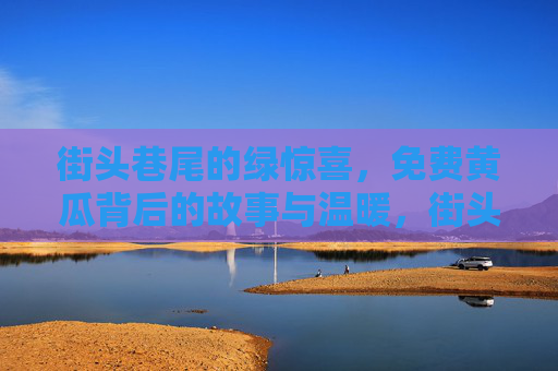 街头巷尾的绿惊喜,免费黄瓜背后的故事与温暖,街头绿惊喜,免费黄瓜背后的暖心故事