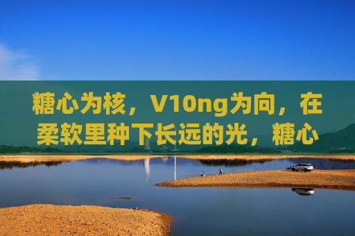 糖心为核，V10ng为向，在柔软里种下长远的光，糖心为核，柔软向光