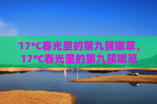 17℃春光里的第九簇嫩草,17℃春光里的第九簇嫩草