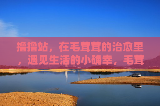 撸撸站，在毛茸茸的治愈里，遇见生活的小确幸，毛茸茸治愈，撸撸站的小确幸