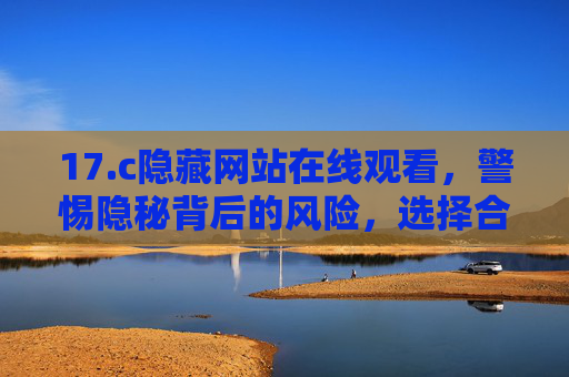 17.c隐藏网站在线观看,警惕隐秘背后的风险,选择合法观影之路,警惕隐秘网站观影风险,选择合法观影正途