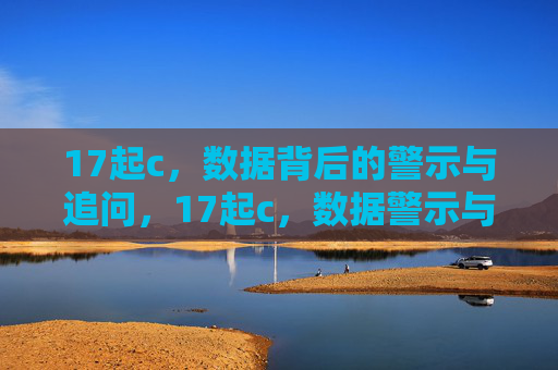 17起c,数据背后的警示与追问,17起c,数据警示与追问