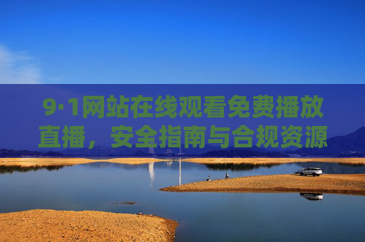 9·1网站在线观看免费播放直播,安全指南与合规资源获取技巧,9·1网站免费直播观看,安全指南与合规资源获取技巧
