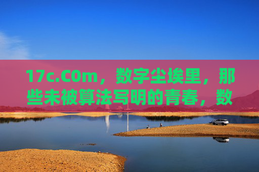 17c.C0m，数字尘埃里，那些未被算法写明的青春，数字尘埃，未被算法写明的青春