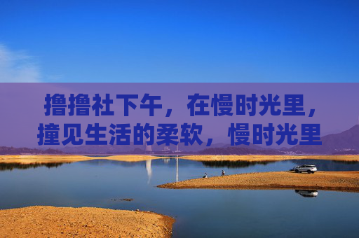 撸撸社下午，在慢时光里，撞见生活的柔软，慢时光里，撞见生活的柔软