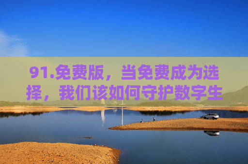 91.免费版，当免费成为选择，我们该如何守护数字生活的边界？免费成为选择，守护数字生活边界的思考