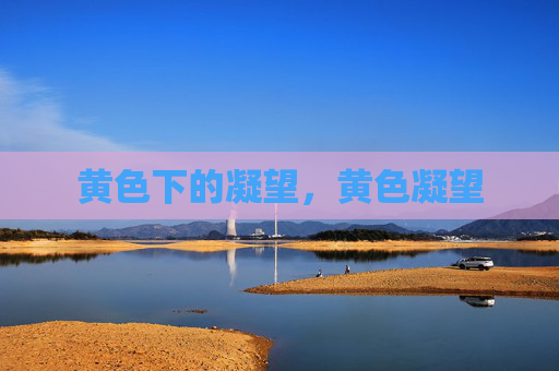 黄色下的凝望,黄色凝望