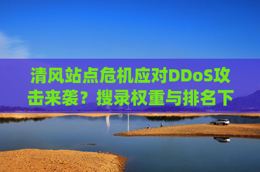 清风站点危机应对DDoS攻击来袭？搜录权重与排名下降的解决策略联系@qflianmeng，清风站点DDoS攻击应对，权重排名下降解决策略