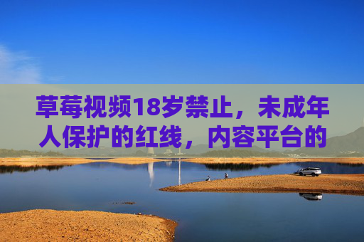 草莓视频18岁禁止,未成年人保护的红线,内容平台的责任与担当,草莓视频18岁禁止,未成年人保护的红线与平台责任担当