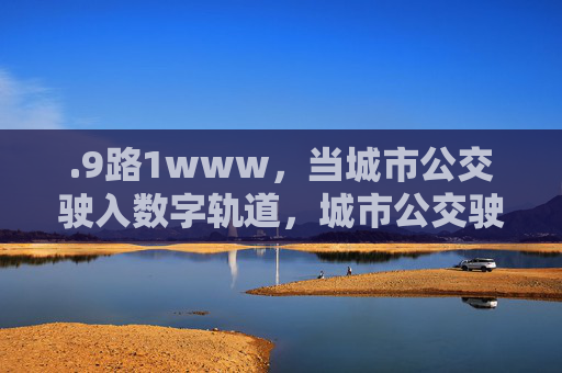 .9路1www,当城市公交驶入数字轨道,城市公交驶入数字轨道