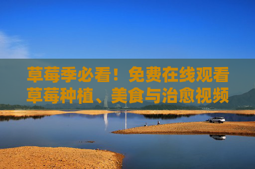 草莓季必看!免费在线观看草莓种植、美食与治愈视频全攻略,草莓季必看,种植美食治愈视频免费全攻略