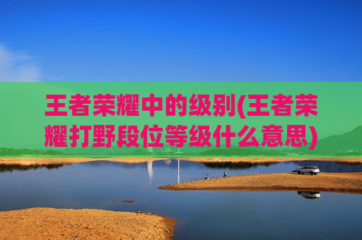 王者荣耀中的级别(王者荣耀打野段位等级什么意思)