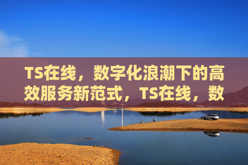 TS在线,数字化浪潮下的高效服务新范式,TS在线,数字化浪潮下的高效服务新范式