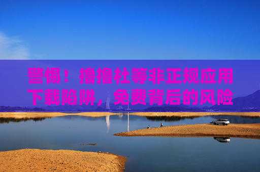 警惕！撸撸杜等非正规应用下载陷阱，免费背后的风险与危害，警惕！非正规应用下载陷阱，免费背后的风险与危害