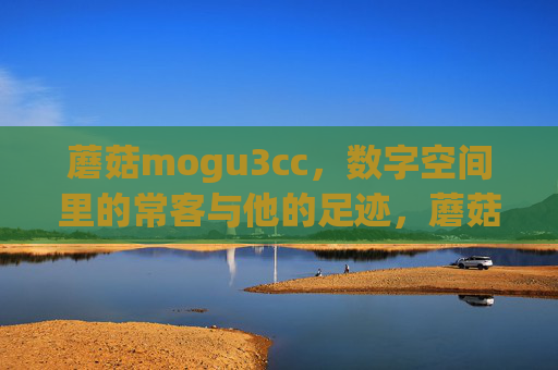 蘑菇mogu3cc,数字空间里的常客与他的足迹,蘑菇mogu3cc,数字空间的常客足迹