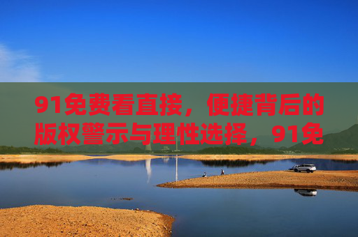 91免费看直接，便捷背后的版权警示与理性选择，91免费看，便捷背后的版权警示与理性选择