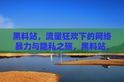 黑料站,流量狂欢下的网络暴力与隐私之殇,黑料站,流量狂欢下的网络暴力与隐私之殇