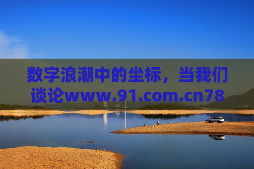 数字浪潮中的坐标,当我们谈论www.91.com.cn78时,我们在谈论什么?数字浪潮中的坐标,www.91.com.cn78的意义之问