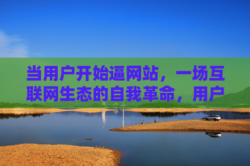 当用户开始逼网站,一场互联网生态的自我革命,用户倒逼网站,互联网生态的自我革命