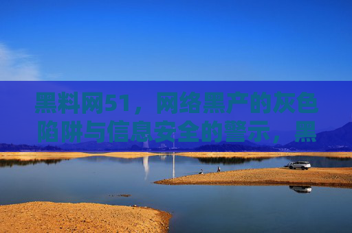 黑料网51,网络黑产的灰色陷阱与信息安全的警示,黑料网51,网络黑产灰色陷阱与信息安全警示