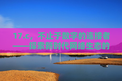 17.c，不止于数字的连接者——探索新时代网络生态的多元可能，17.c，不止于数字的连接者，探索新时代网络生态多元可能