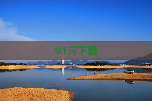 91污下载