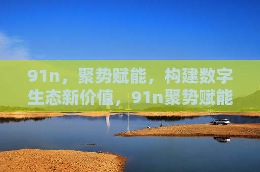 91n,聚势赋能,构建数字生态新价值,91n聚势赋能 构建数字生态新价值