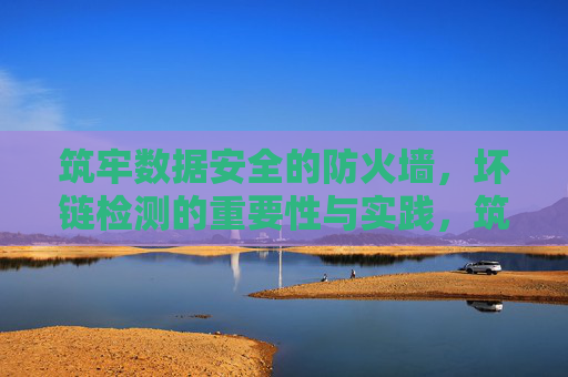 筑牢数据安全的防火墙，坏链检测的重要性与实践，筑牢数据安全防火墙，坏链检测的重要性与实践