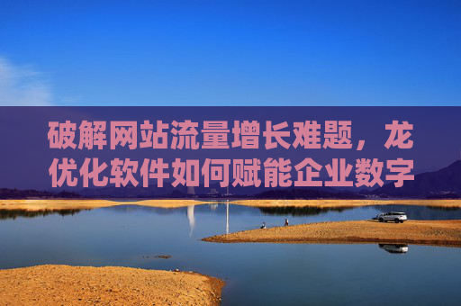 破解网站流量增长难题，龙优化软件如何赋能企业数字化转型？破解网站流量增长难题，龙优化软件赋能企业数字化转型