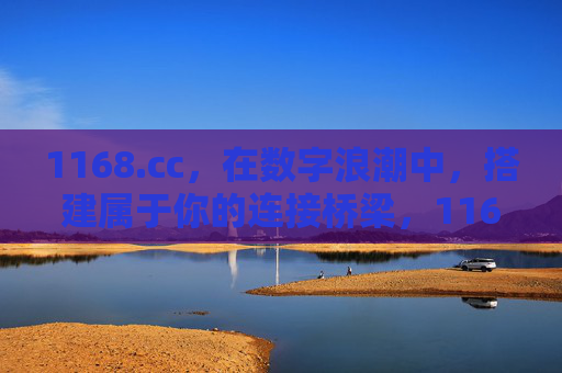 1168.cc,在数字浪潮中,搭建属于你的连接桥梁,1168.cc,数字浪潮中,你的连接桥梁