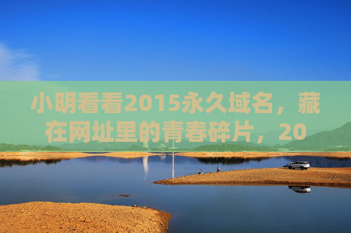 小明看看2015永久域名,藏在网址里的青春碎片,2015永久域名,藏在网址里的青春碎片