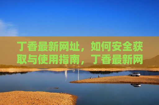 丁香最新网址,如何安全获取与使用指南,丁香最新网址安全获取与使用指南