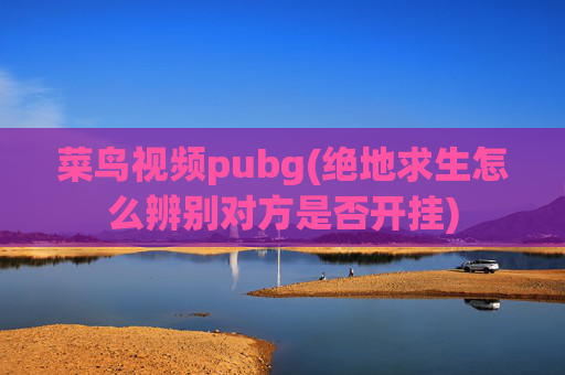 菜鸟视频pubg(绝地求生怎么辨别对方是否开挂)