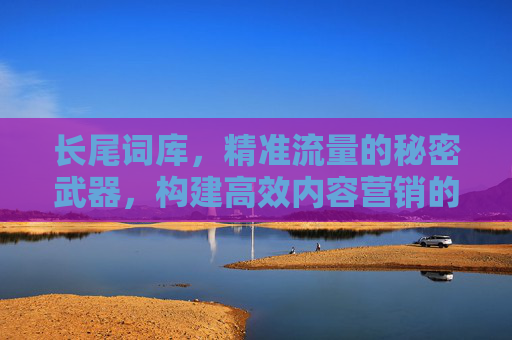 长尾词库,精准流量的秘密武器,构建高效内容营销的基石,长尾词库,精准流量与高效内容营销的基石