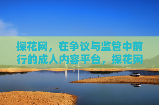 探花网,在争议与监管中前行的成人内容平台,探花网,争议与监管中前行的成人内容平台
