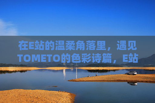 在E站的温柔角落里,遇见TOMETO的色彩诗篇,E站温柔角落,TOMETO的色彩诗篇